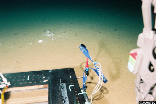 海底1万メートルに浮遊するレジ袋